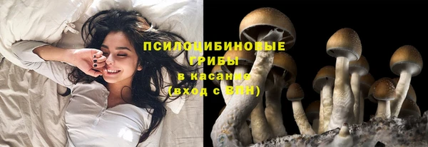 молекула духа Киселёвск