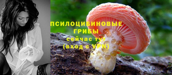 дурь Волоколамск