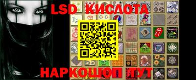 дмт Донской