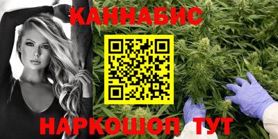 дмт Донской