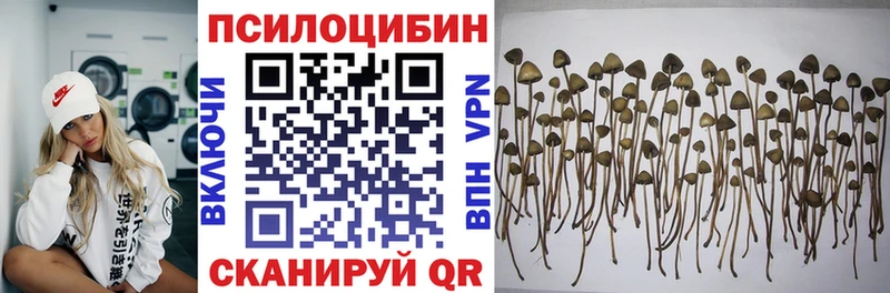 магазин продажи Мариинск Псилоцибиновые грибы мицелий