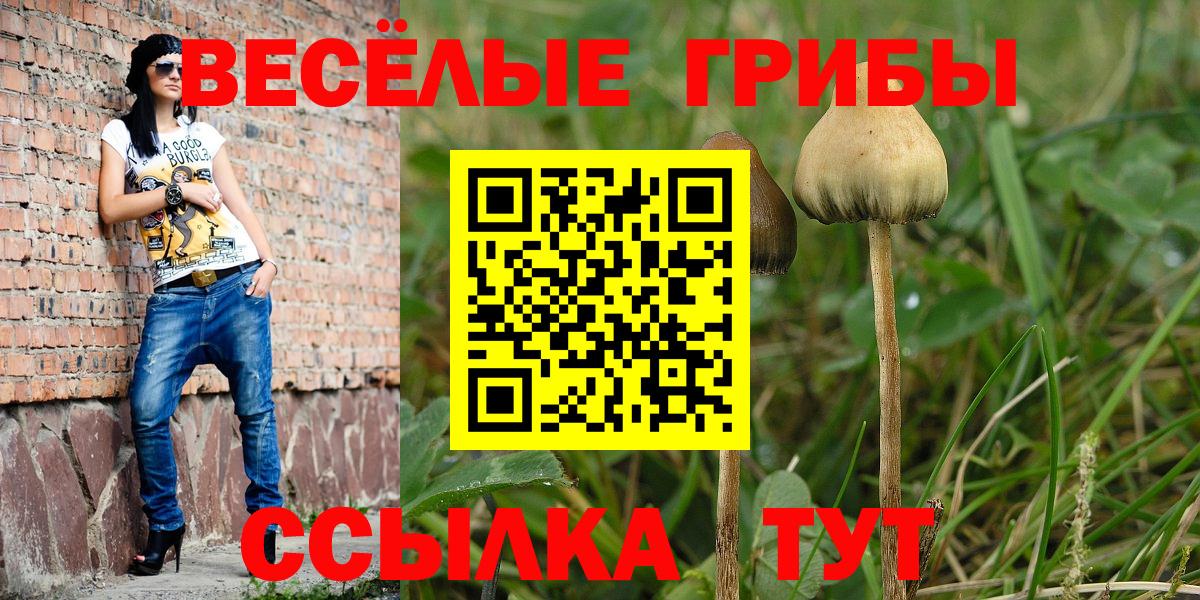 Псилоцибиновые грибы Psilocybe  Вход с VPN  Мариинск 
